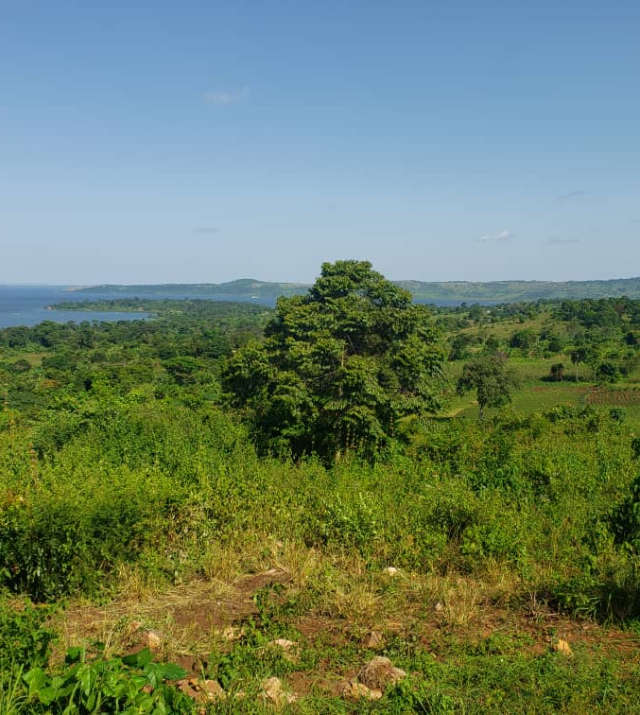 WhatsApp Image 2022-06-04 at 8.51.21 PM.jpeg